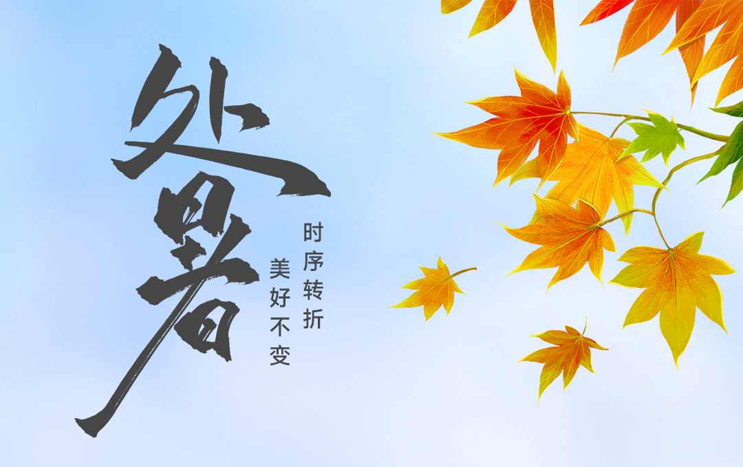 赛福|时序转折，美好不变