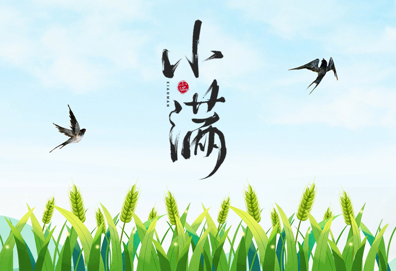 赛福丨万物小得盈满，美好恰逢其时