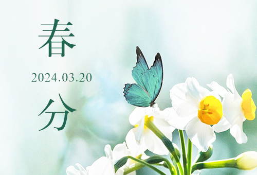 春分到，百花俏，赛福与你邂逅一场春暖花开