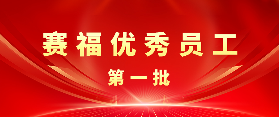 赛福之光：优秀员工先进事迹第一批