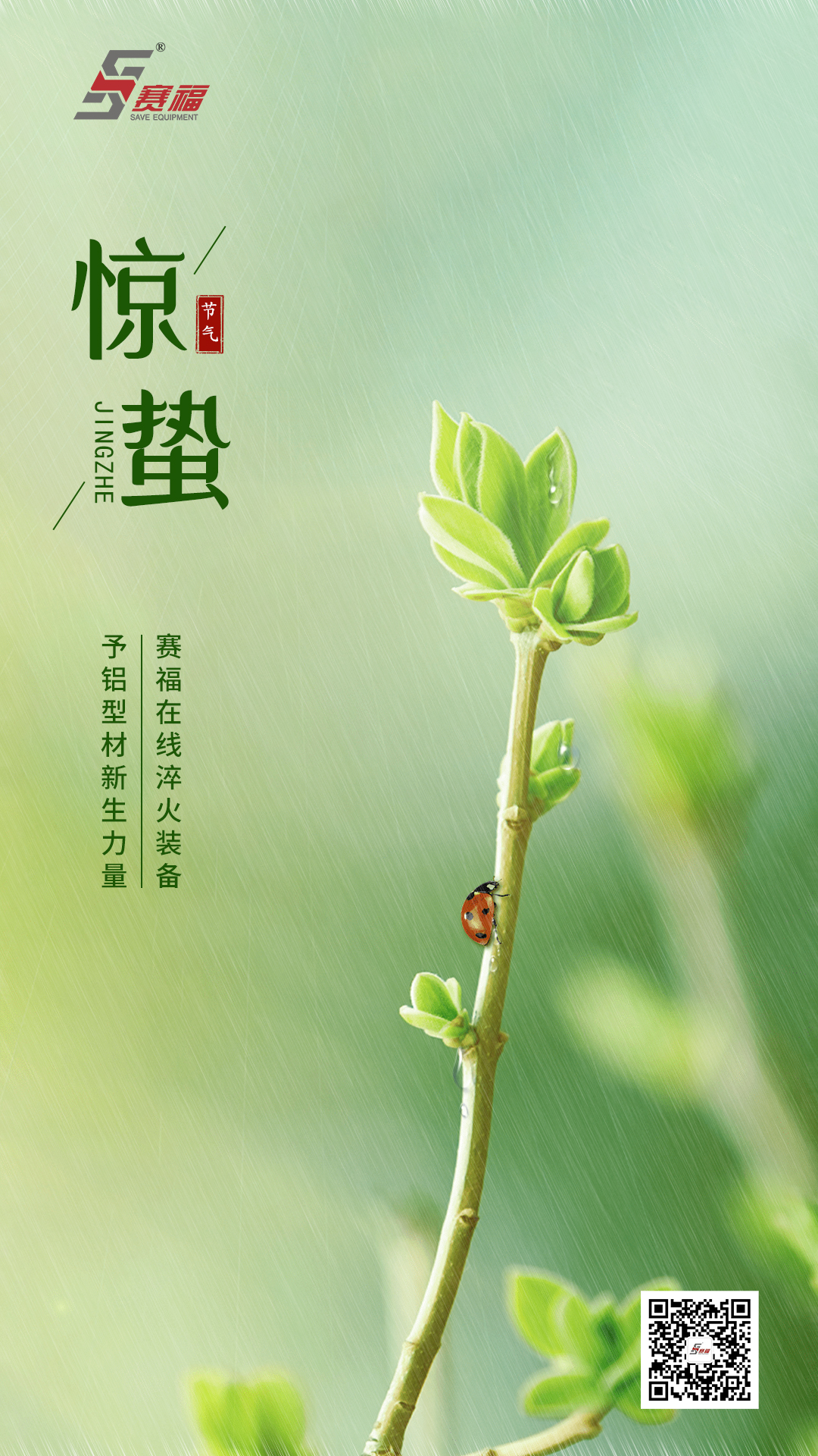 赛福-惊蛰.jpg