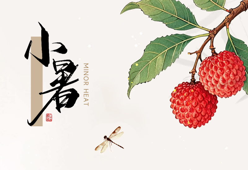 赛福丨时逢小暑至