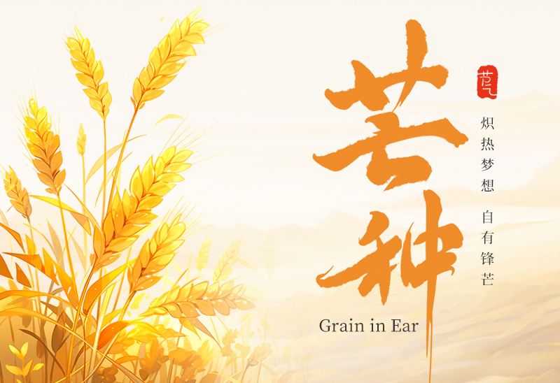 赛福丨炽热梦想，自有锋芒