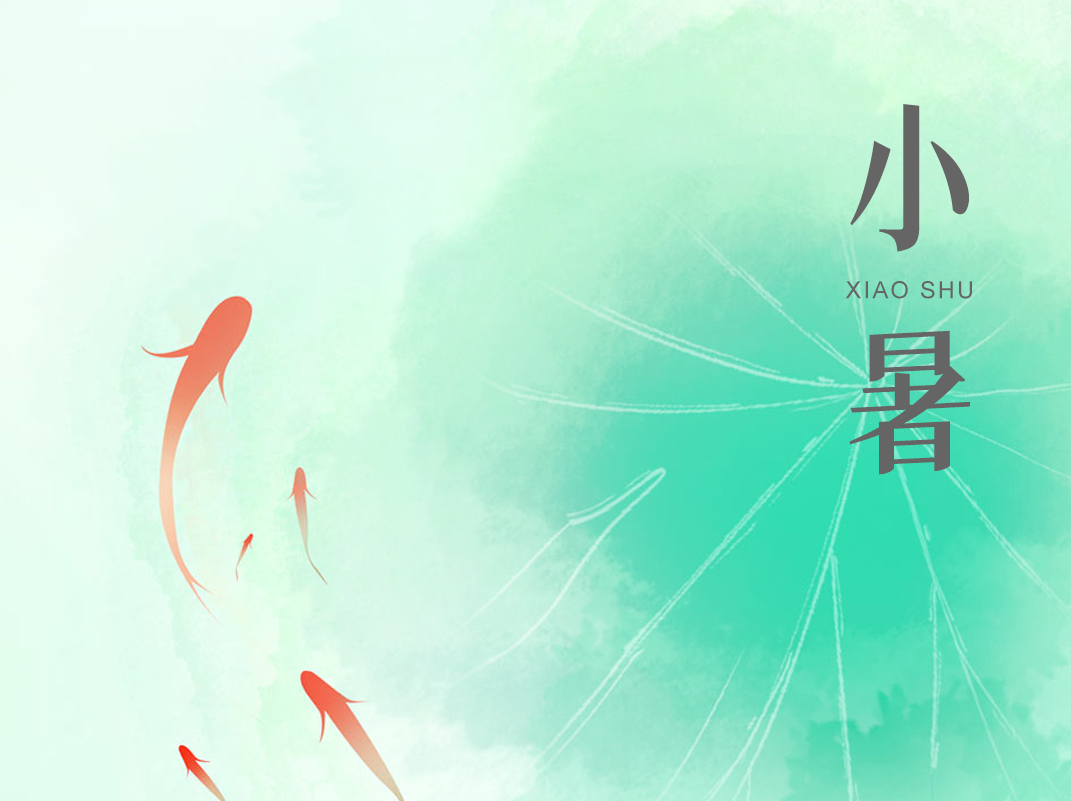 赛福丨时逢小暑至，万象正韶华